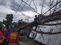 Ditiup Angin, Pohon Cemara Timpa Bengkel dan Mobil