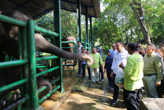 Baca juga : Libur Lebaran 2026, Kebun Binatang Surabaya Diserbu 75 Ribu Wisatawan