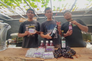Tingkatkan Daya Saing, Buah Anggur di Probolinggo Disulap Jadi Berbagai Produk Unggulan