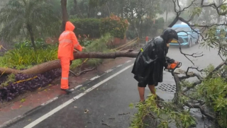 Awal Pekan, Hujan Petir Diprediksi Terjadi di Seluruh Kabupaten dan Kota Jawa Timur