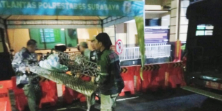 Satpol PP Tangkap Pencuri Kursi Besi Milik Pemkot Surabaya, Pelaku Dibawa ke Polsek Bubutan