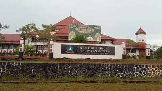 Jadi Temuan BPK, Sewa Bus Masa Covid-19 2022 -2023 Pemkab Bintan Diduga Fiktif