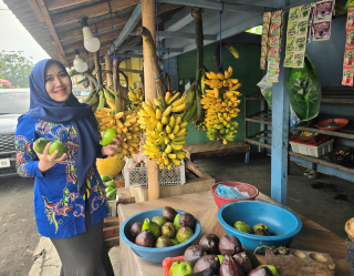 Senator Cantik Jawa Timur Soroti Nasib Pedagang Buah: UMKM Harus Dilindungi, Bukan Berjuang Sendiri