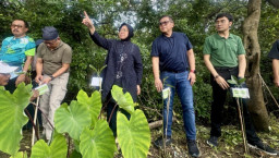 Baca juga : Gas Pol Penguatan Ekologis, Hasto dan Kader Banteng Surabaya Tanam Ribuan Mangrove