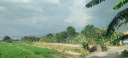 Baca juga : HATI-HATI! Jual Beli Rumah-Tanah Kavling di Kawasan Urangagung Sidoarjo, Diduga tak Miliki Izin