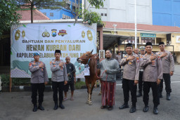 Baca juga : Polres Pelabuhan Tanjung Perak Salurkan Hewan Kurban di Hari Raya Iduladha 1447 H. 