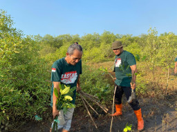 Jelang 1 Suro, Laskar Hijau Kembali Lanjutkan Penanaman Mangrove di Probolinggo