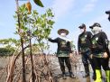 Gubernur Khofifah Tanam Mangrove di Pantai Bohay Probolinggo