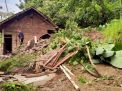 Kecamatan Sawoo Ponorogo Dilanda Longsor di Tujuh Lokasi, BPBD Lakukan Kajian Cepat