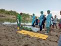 Mayat Nenek Ditemukan Mengapung Di Sungai Brantas