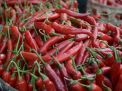 Harga Cabai Merah Naik Lagi Sejak Awal Mei 2024, Satu Kilo Berapa Sekarang? Cek di Sini