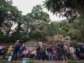 FOTO: Petirtaan Jolotundo, Menyambut Baik Wacana Kebijakan Pemerintah