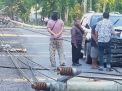 Lima Tiang Listrik Beton di Desa Jatiroto Roboh, Tak Ada Korban Jiwa