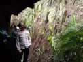Telan Biaya Miliaran, Pembangunan Jalan Longsor di Tulungagung Dikaji