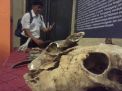 Tim Survei Geologi Temukan 8 Geosite Baru di Tulungagung