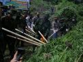 BNN Musnahkan 2 Hektare Ladang Ganja di Aceh Besar