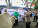 Nette Boy Pimpin Langsung Pemotongan Hewan Kurban di Mako Ditpolairud Polda Kalsel