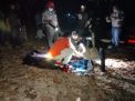 Baca juga : Satu Korban Perahu Pecah di Tulungagung Ditemukan, Begini Kondisinya setelah Tiga Hari Hilang