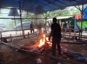 Polisi Bakar Tempat Arena Perjudian Sabung Ayam di Jombang