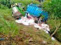 Tak Kuat Menaiki Jalan Tanjakan, Dua Truk Pakan Sapi di Tulungagung Ini Nyempulung Parit