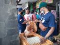Ikut Vaksinasi Covid-19 di Tulungagung Berhadiah Ayam
