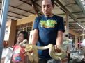 Zaenal Arifin, Peternak Ular Piton Beromzet Ratusan Juta dari Tulungagung