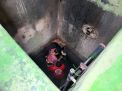 Baca juga : Pemuda Tuna Rungu di Tulungagung Nyemplung Sumur, Penyelamatan Berjalan alot