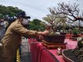 Bupati Tulungagung Resmikan Kontes Bonsai Tingkat Nasional