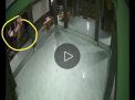 Heboh Rekaman CCTV, Pendekar Silat Kejar Orang hingga Masuk Mushola
