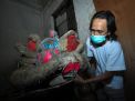 FOTO: Imlek Dimasa Pandemi tak Ada Ataraksi Barongsai