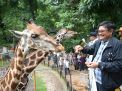 Berhasil Kembang Biakkan Komodo, Kebun Binatang Surabaya Jadi Kebanggaan Jawa Timur