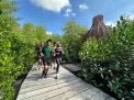 Jangan Lewatkan! Ragam Acara Menarik di HUT ke-1 Kebun Raya Mangrove dan Hari Anak Nasional