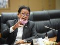 Komisi VII DPR RI: Industri Timah Tanah Air belum Berkembang