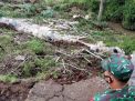 Dua Hari Diguyur Hujan, Jalan Utama di Tulungagung Longsor