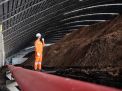 PLN Nusantara Power Hasilkan 525,62 GWh Energi Hijau dari Co-Firing