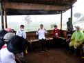 Dialog dengan Jokowi, Petani Wonosobo Beberkan Manfaat Lumbung Pangan