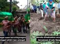 Bak Romeo Juliet, Pasangan Suami Istri Dikubur Satu Liang Kubur