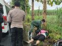 Tabrak Pohon Tumbang Saat Hujan Deras, Pria Di Tulungagung Tewas