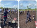 Puan Maharani Tanam dan Jajan Jagung Bareng Jokowi di Sorong Papua