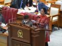 Puan Maharani: Waspadai Omicron BA.2 demi Cegah Ledakan Kasus Baru Covid