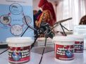 Nyamuk Wolbachia untuk Tekan Demam Berdarah Aman atau Tidak? Ini Analisis Risikonya
