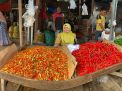 Harga Cabai di Pasaran Meroket, Rp 100 Ribu per Kilogram