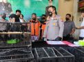 Jual Ratusan Burung Ilegal dari Kalimantan, Dua Pria Ditangkap Polres Tanjung Perak Surabaya