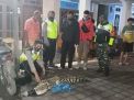 Buaya 2 Meter yang Ditangkap Warga Sidoarjo, Akhirnya Dirawat di KBS