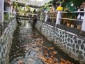 Komunitas di Banyuwangi Ubah Sungai Penuh Sampah Jadi Sentra Ikan dan Tanaman Pangan