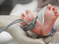 Bayi Berusia 2 Hari Terkonfirmasi Positif Covid-19