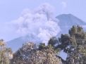 Gunung Semeru Kembali Semburkan Awan Panas, BPBD: Status Waspada