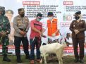 Vaksinasi Massal di Trenggalek Ini Berhadiah Hewan Ternak, Ada Kambing dan Ayam