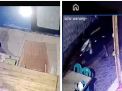 Sudah Dipasang CCTV, Warung Makan Surabaya Masih Dibobol Maling, Rp 18 Juta Amblas