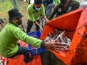 DKPP Surabaya Bagikan Hasil Panen Bandeng ke Warga MBR